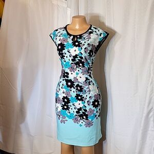 JESSICA ROSE ROUNDNECK SLEEVELESS MULTI-COLOR ZIP CLOSURE ABOVE THE KNEE DRESS